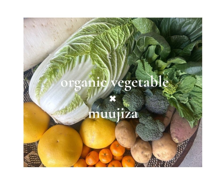 アフリカンバスケット