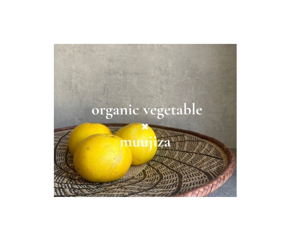 アフリカンバスケット