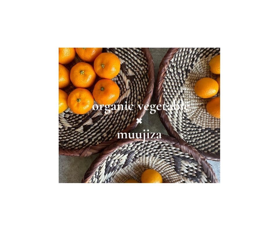 アフリカンバスケット