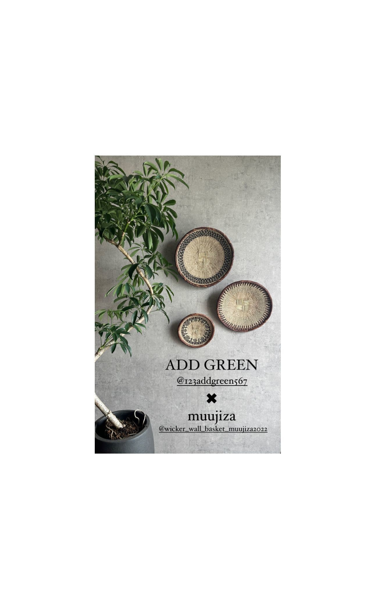 アフリカンバスケット