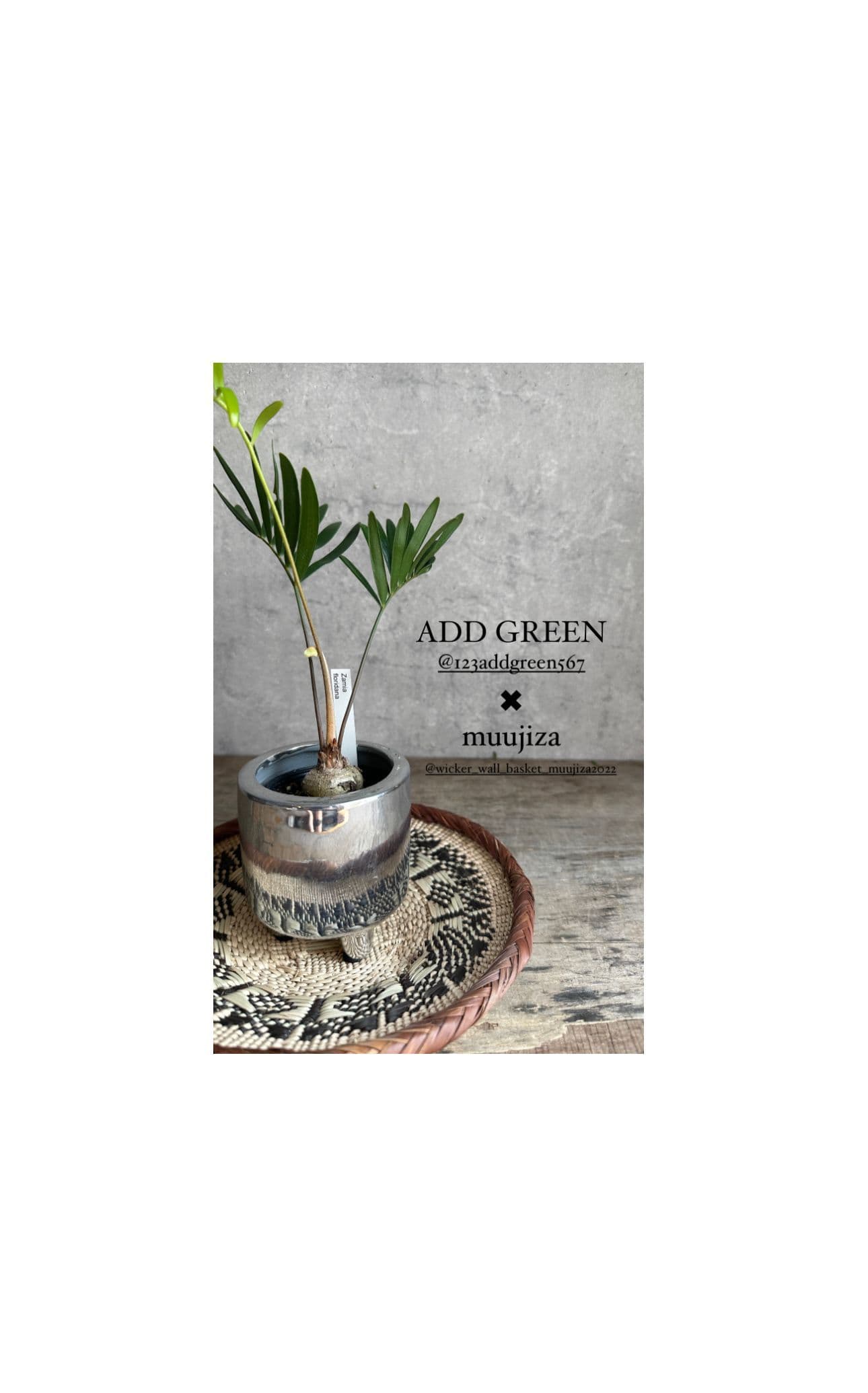 アフリカンバスケット